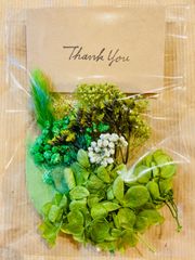 花材パック グリーン系 ドライフラワー プリザーブドフラワー 金箔付き