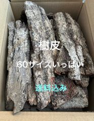 樹皮