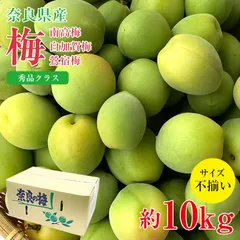 6/20収穫予定　無農薬　白加賀梅　10キロ はるな山麓農cafe・自然栽培青梅10kg【白加賀】 | 安心堂 食の