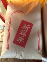 楽天市場】【令和6年産 】【1等米限定】佐賀県産もち米