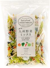 国産 乾燥野菜 九州野菜ミックス５パック500g【添加物不使用】ドライベジタブル