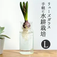 2026年最新】ヒヤシンス花瓶の人気アイテム - メルカリ