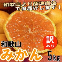 みかん 訳ありミカン 和歌山県産 訳あり みかん 蜜柑 5kg　 ※発送開始予定日:10月中旬頃