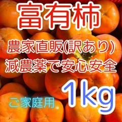 2025年最新】果 柿の人気アイテム - メルカリ