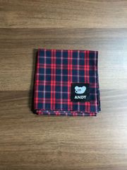 【新品】【ANDY】大判薄地ハンカチ（チェックRed）