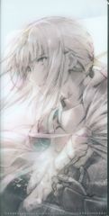 극장판 Fate/Grand order 신성 원탁 영역 카멜롯 예매 특전 클리어 티켓 홀더 제2탄