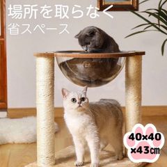 小型 キャットタワー 爪とぎポール 透明ボウル ストレス解消 運動不足対応