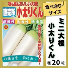 【野菜の種】食べきりサイズで丁度いい！「直売所向き小太りくん」種２０粒
