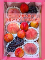 nsmnraito様専用クール便