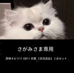 専用ページ