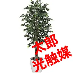 2023年最新】観葉植物 造花 ベンジャミンの人気アイテム - メルカリ