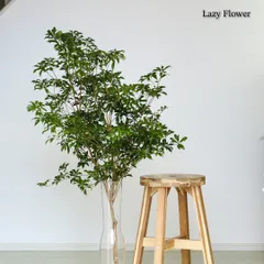 2024年最新】アセビ 120cmの人気アイテム - メルカリ 