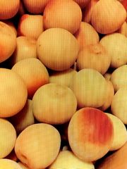 梅干し用 完熟梅　（4.5kg、無農薬）