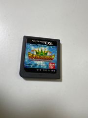 デジモンチャンピオンシップ　NintendoDS ソフトのみ　中古