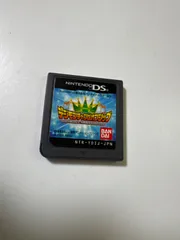 デジモンチャンピオンシップ　NintendoDS ソフトのみ　中古