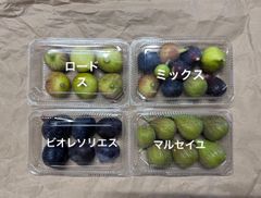 ビオレソリエス、マルセイユ、ロードス、ミックス