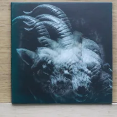 theGazettE BEAUTIFUL DEFORMITY 【初回生産限定盤】 Amazon.co.jp: BEAUTIFUL DEFORMITY - the GazettE: ミュージック
