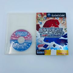 ポケモン整理ツール　ポケモンボックス　ルビー&サファイア
