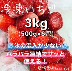 冷凍イチゴ　3kg 愛媛県産　サクサク！バラバラで取りやすい！氷の混入が少ない！
