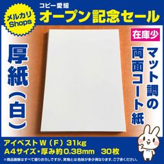 ㉑　A4　厚紙（両面白）アイベストWF　30枚！