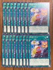 遊戯王　煉獄の災天