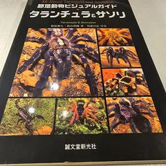 2025年最新】タランチュラ・サソリの人気アイテム - メルカリ