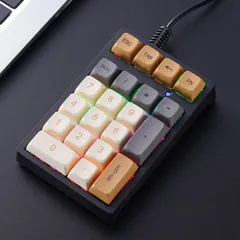 メカニカルテンキーパッド Tabキー付き 数字キーボード 21キー 9種バックライト付き 【PBT昇華印刷キーキャップ】 PC用 デスクトップコンピューター ノートパソコン 有線 USB 青軸 テンキーパッド テンキーボード ナンバーパッド メカニカルテンキー
