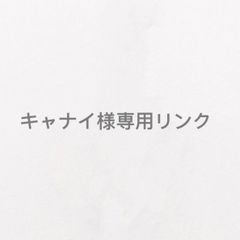 キャナイ様専用リンク オーダーピアス
