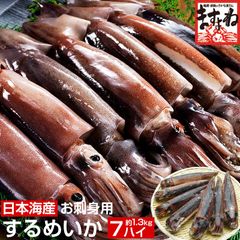 【日本海産】お刺身用するめいか(真イカ) 中型サイズ×7ハイ (1.3kg前後) いか イカ 烏賊 スルメイカ 刺身 ますよね