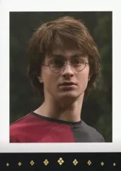 【中古】コレクションカード(男性) ダニエル・ラドクリフ(ハリー・ポッター)/「ハリー・ポッター」ぱしゃこれ 実写