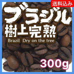 ブラジル 樹上完熟／300g【送料込み】（ネコポス）炭火焙煎　コーヒー　南蛮屋