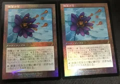 2024年最新】睡蓮の花 mtgの人気アイテム - メルカリ