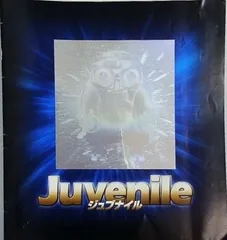 2025年最新】ジュブナイル パンフレットの人気アイテム - メルカリ