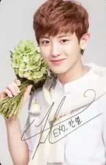 2025年最新】exo ネイチャーリパブリックの人気アイテム - メルカリ