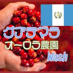 グアテマラ コバン オーロラ農園 SHB ウォッシュ★スペシャリティコーヒー　200g入り★グアテマラ珈琲豆★自家焙煎コーヒー豆★ブレンドコーヒー★エムリバーサイドコーヒー