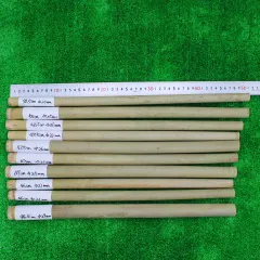 2025年最新】篠竹 女竹の人気アイテム - メルカリ