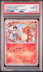 希少 世界11枚 ポケモンカード マクドナルド プロモ 地図にない
