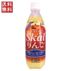 南日本酪農協同 スコール りんご 500mlPET（24本入×1ケース）【送料無料】 ※賞味期限 2025年7月11日迄