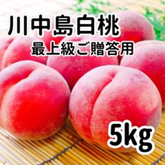 【クール便発送】信州産　川中島白桃　５ｋｇ（１３玉前後）　最上級　ご贈答用