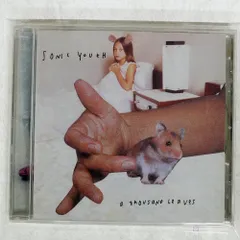 【限定盤ピンクラベル】Sonic Youth A Thousand Leaves Sonic Youth – A Thousand Leaves – 2 x Vinyl (LP, Album