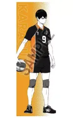 【中古】ポスター ポートレートシリーズBIGファブリックポスター 影山飛雄 「ハイキュー!!」