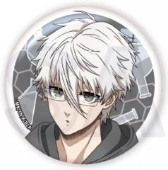アイナナナ 16 IDOL ALBUM ベビコミュ 缶バッジ 八乙女楽 - メルカリ