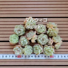 97377400_3