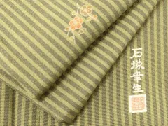 作家物 石塚幸生 裄66 縮緬 横断に素敵な染め 付下げ 正絹 AK-