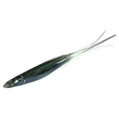 HIDE UP HIDEUP ハイド アップ ハイドアップ JUDY FISH 5.2inch ジュディー フィッシュ ジュディーフィッシュ 5.2インチ エアホール構造 FECO エコ ワーム バス釣り ルアー #294 スモークプロブルー