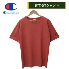 美品 チャンピオン Tシャツ M エンジ USA製 T1011 00s 無地 肉厚コットン ワンポイント レッド ピンク系 Champion ヘビーウェイト ストリート 目あり ロゴ刺繍 アメカジ 古着 A419