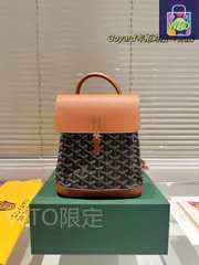 【今日特価】Goyard ゴヤード ダブルショルダーバッグ