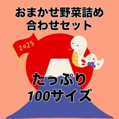 8日発送分‼️野菜詰め合わせセット‼️たっぷり100サイズにいっぱい‼️おまかせ野菜セット‼️お買い得