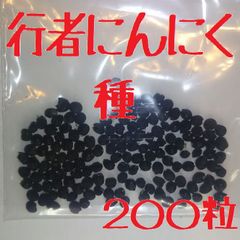 行者ニンニク  種  200粒  栽培用