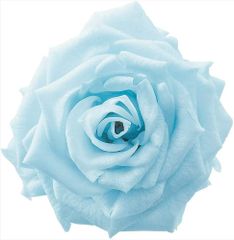 [신품·5 영업일에 발송] 대지 농원 샬롯 12륜 베이비 블루 76-2592-621 (1240327)